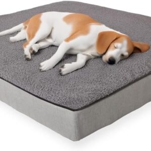 XL Orthopedic Dog Bed